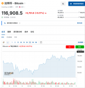 比特币再触及历史新高 空头平仓助推